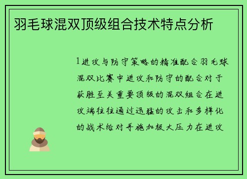 羽毛球混双顶级组合技术特点分析