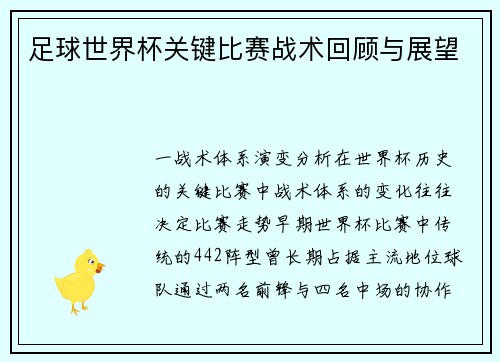 足球世界杯关键比赛战术回顾与展望